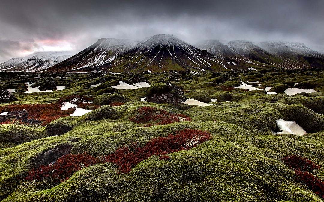 Wenn der Zauber erwacht