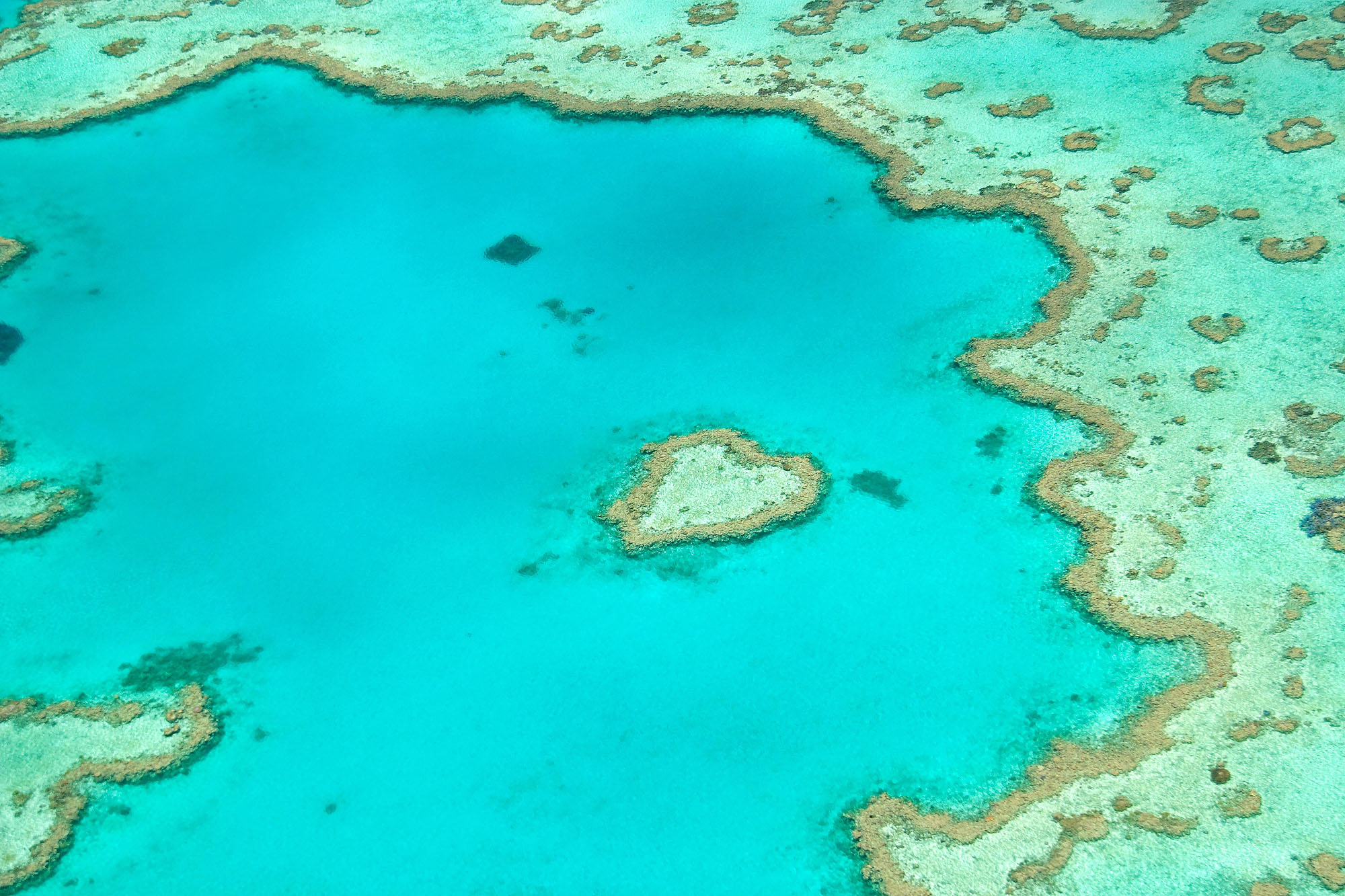 Flug über das Hardy Reef, die herzförmige Koralleninsel im Great Barrier Reef vor Queensland in Australien.