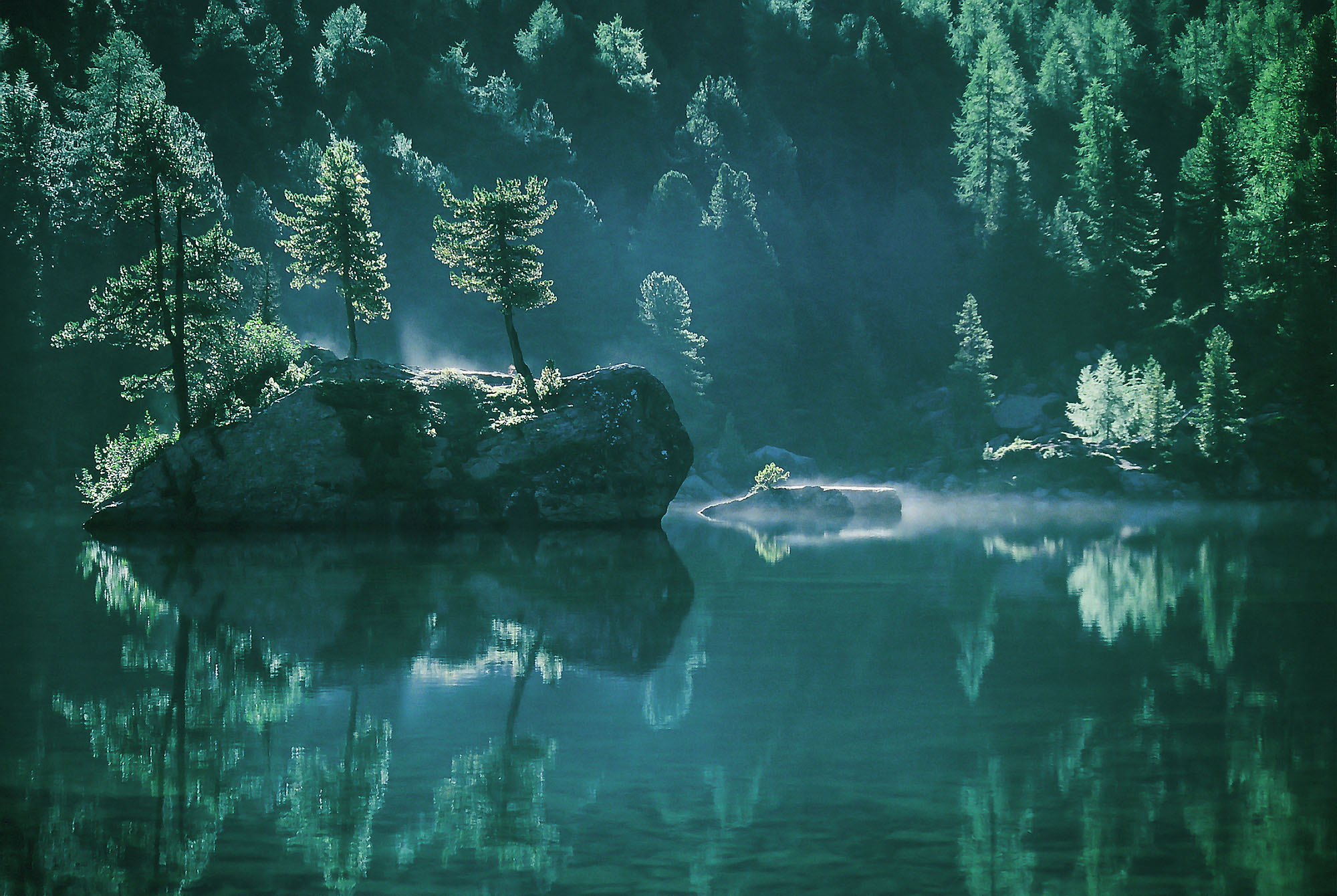 Leuchtend grüner Wald im Morgennebel, der sich im Alpensee Lago di Saoseo im Val da Camp im Schweizer Graubünden spiegelt.