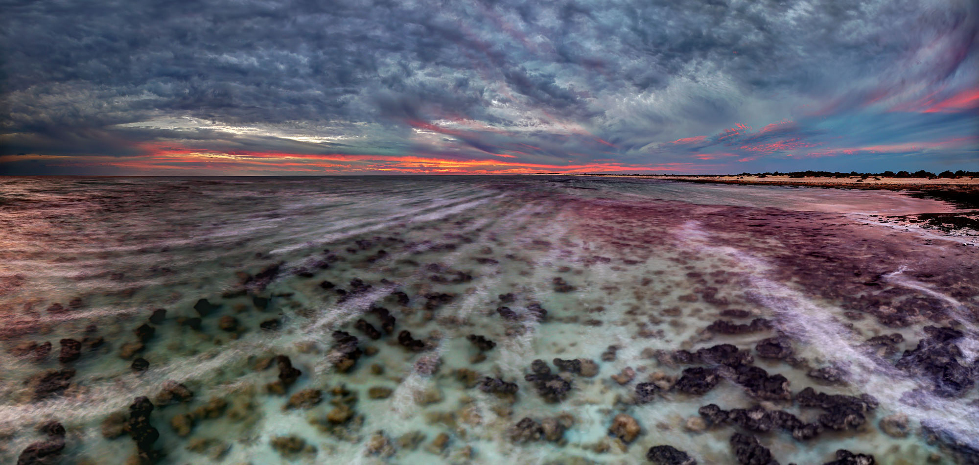Die Stromatolithe in der Hamelin Pool Lagune der Shark Bay in Westaustralien.