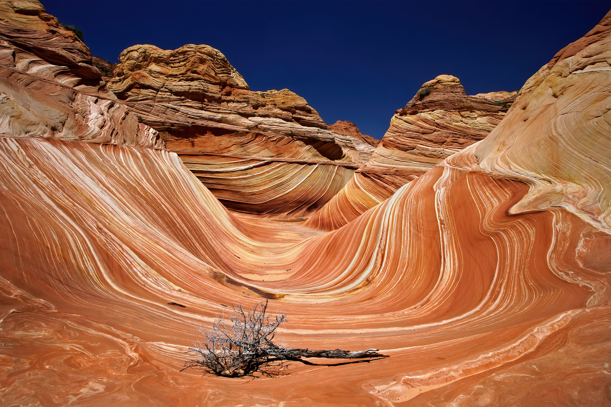 Die Sandsteinwelle The Wave in den Coyote Buttes des Paria Canyon und der Vermilion Cliffs in Arizona besteht aus Navajo Sandstein jurazeitlicher Sanddünen, die vor 150 Millionen Jahren versteinerten.
