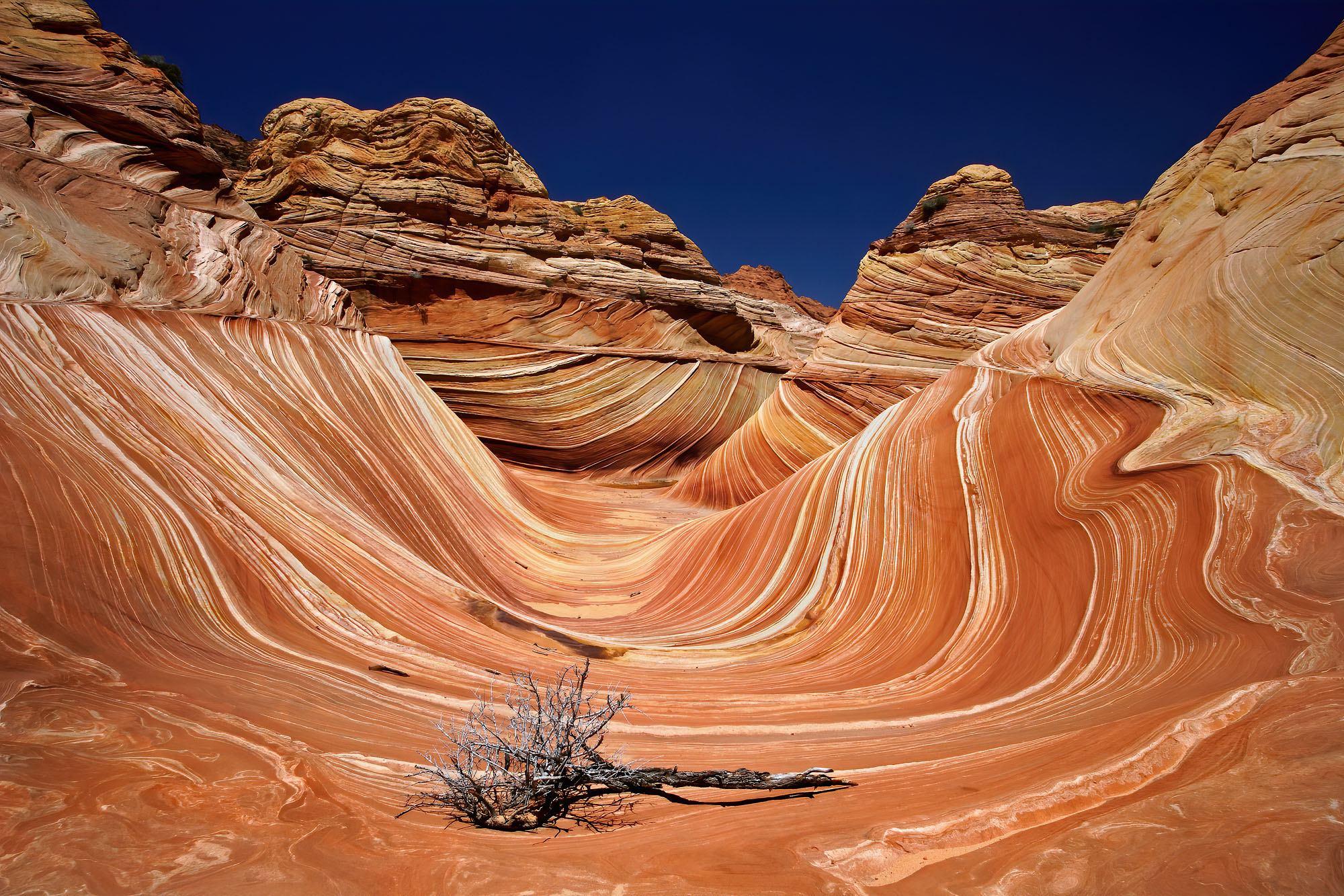 The Wave In Den Coyote Buttes Des Paria Canyon In Arizona
