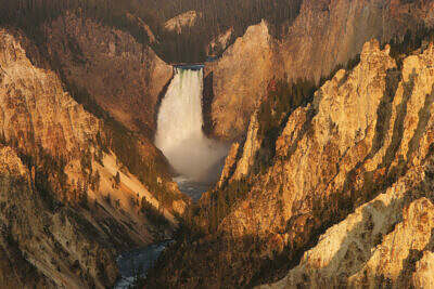 Der Grand Canyon of the Yellowstone am Artist Point mit Lower Falls und den pastellfarbenen Canyonwänden.