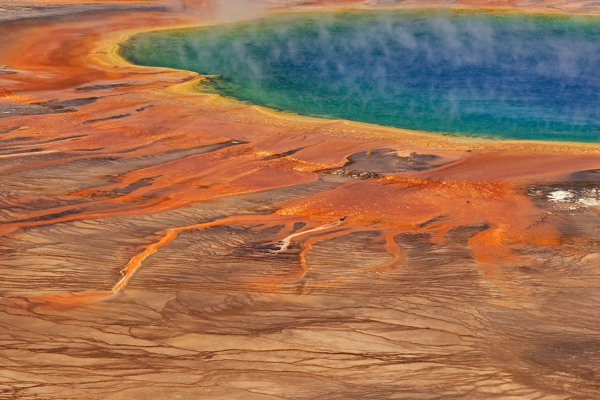 Die leuchtenden Farben des Grand Prismatic Spring in Yellowstone im Midway Geyser Basin werden durch mikrobielles Leben erzeugt.
