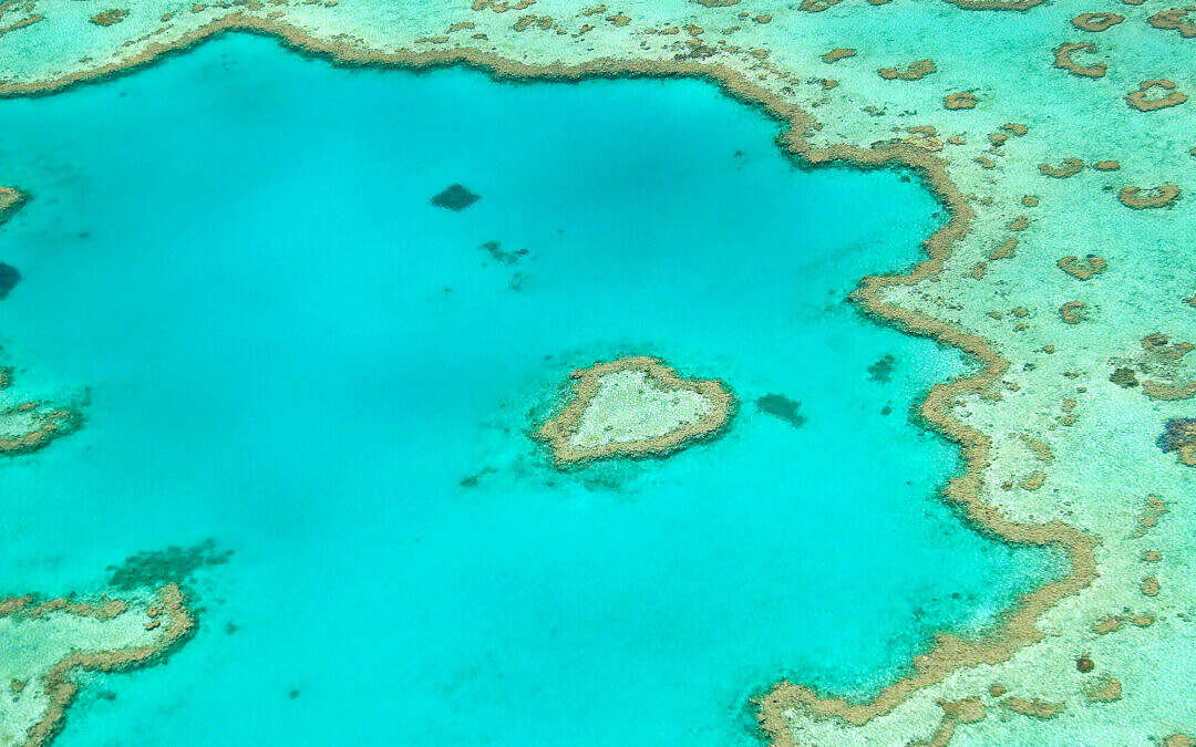Heart Reef