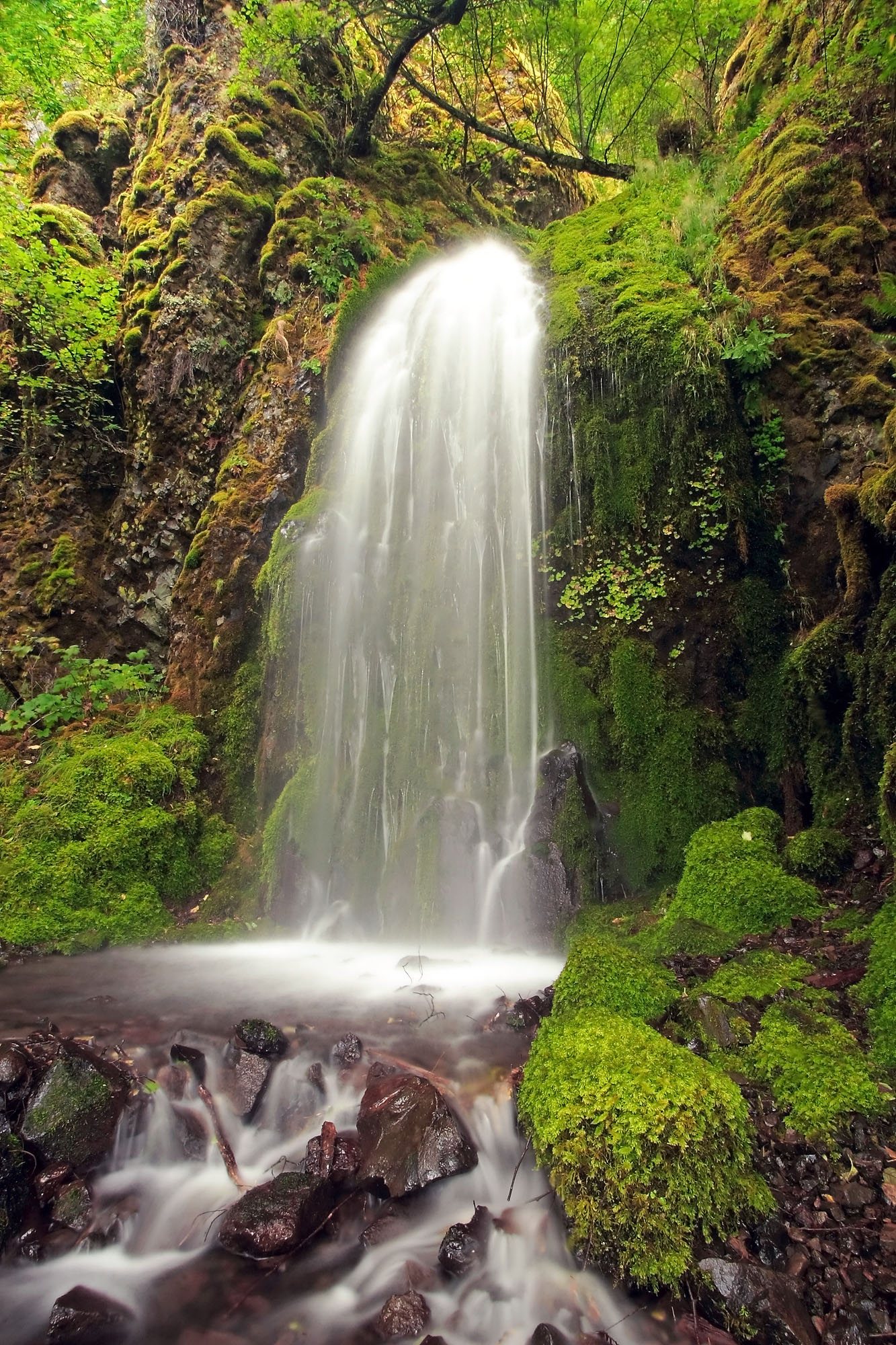 Lancaster Falls is a fairytale-like, moss-covered cascade in Warren Creek in the Columbia River Gorge in Oregon