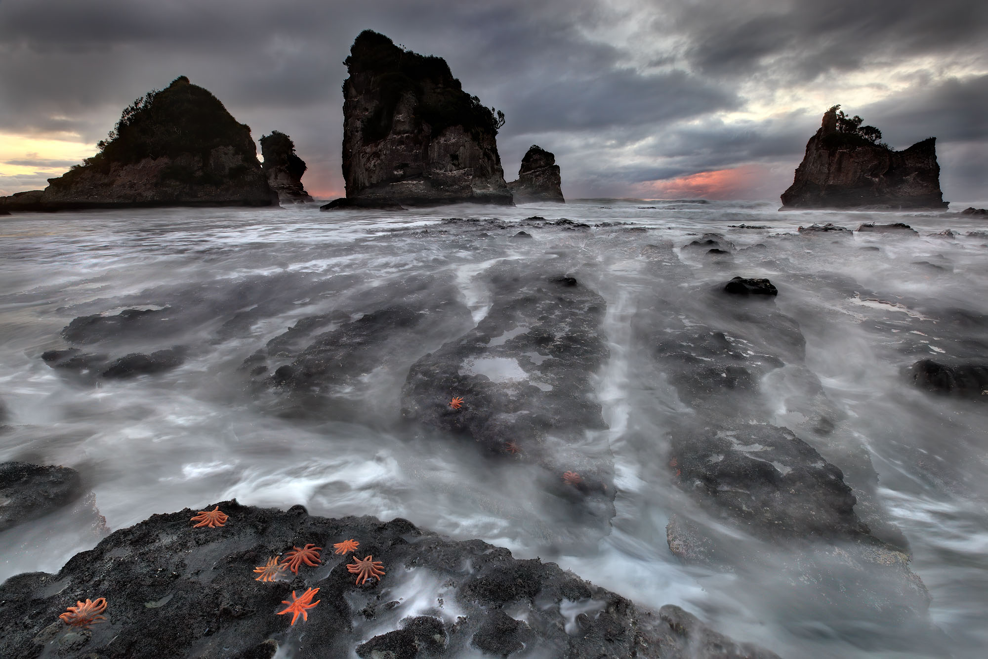 Starfish colonies on the dangerous low tide coastline of Motukiekie Beach with sea stacks at sunset on New Zealand’s west coast