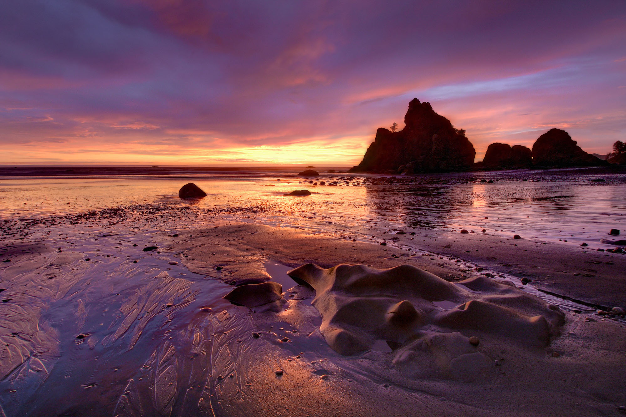 Sea stacks at Ruby Beach along the Pacific coastline of Olympic in Washington in the backlight of sunset