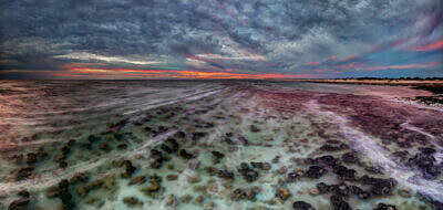 Stromatolites in Hamelin Pool of Shark Bay in Western Australia