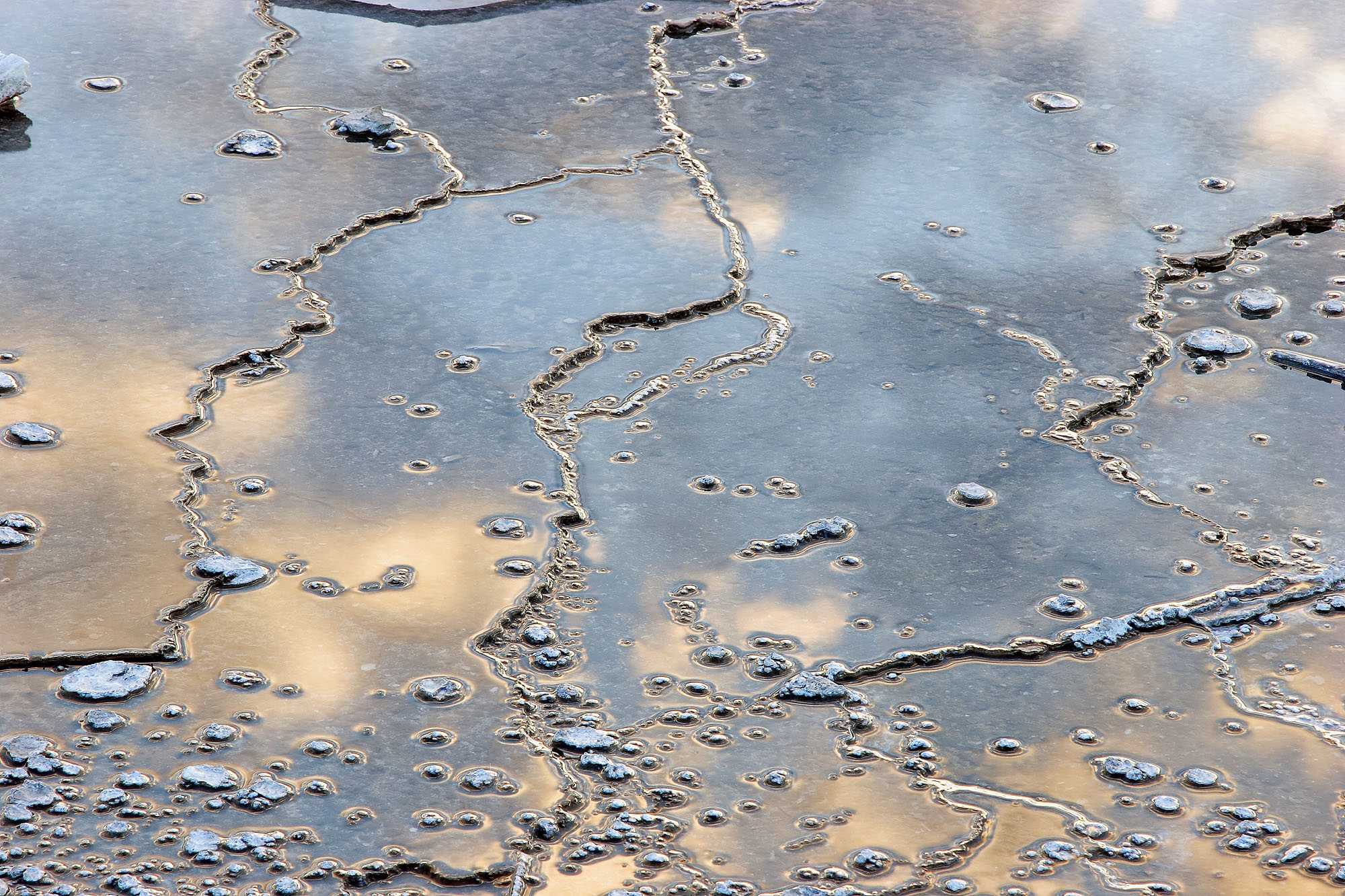A sinter terrace detail with nodules of geyserite in the Norris Geyser Basin of Yellowstone.