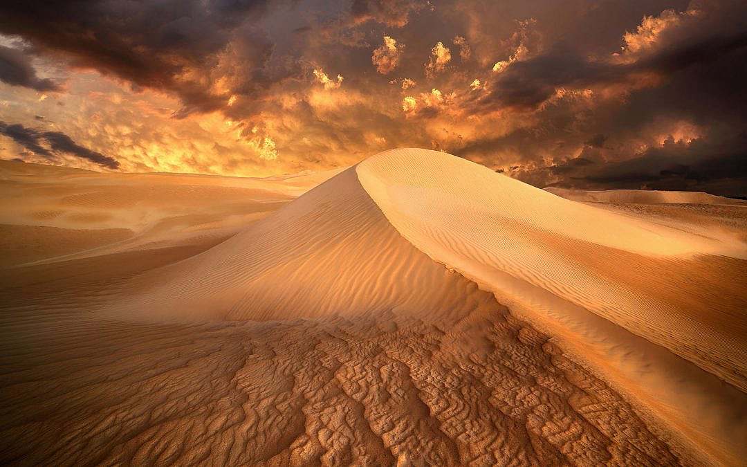 The Memory of the Golden Dunes 