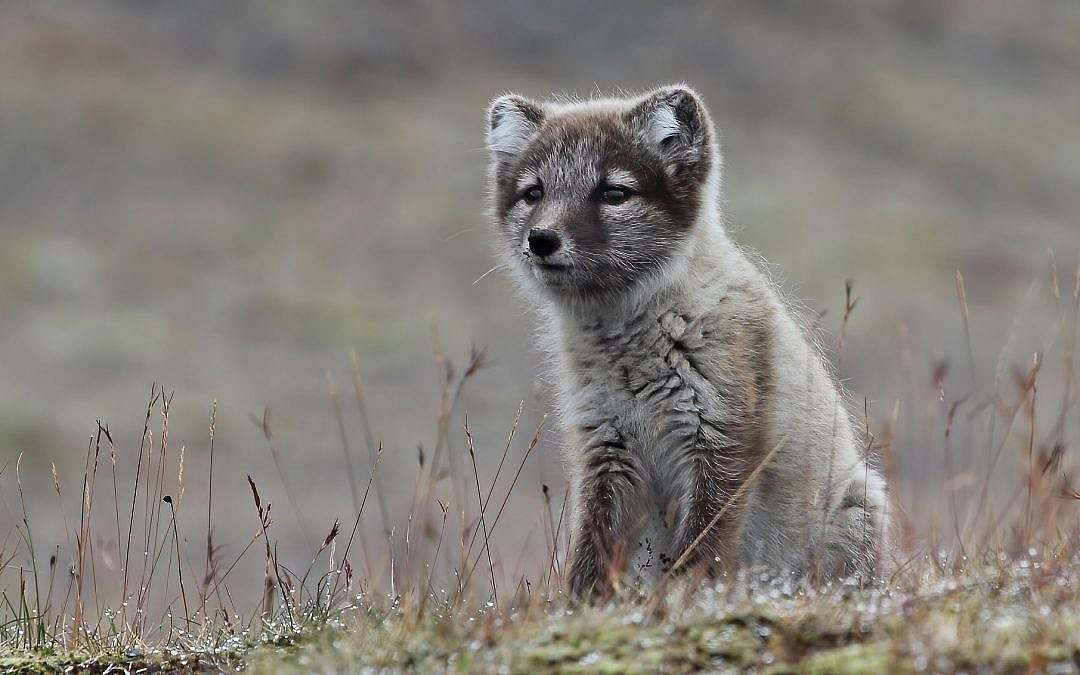 Im Vertrauen mit der Natur