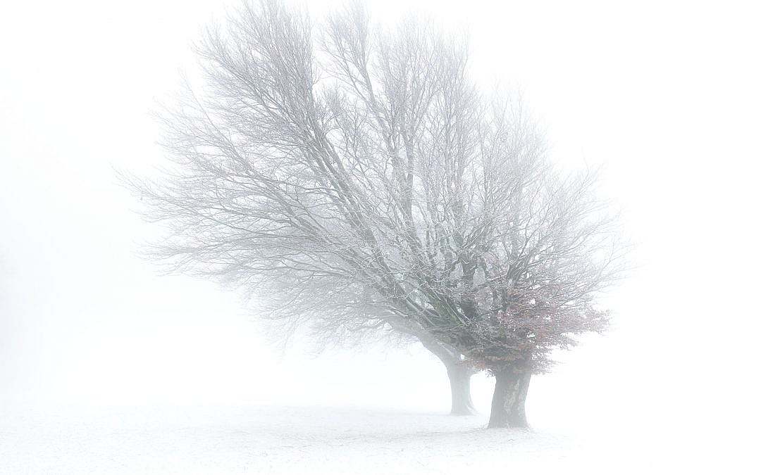 Calligraphy of Light